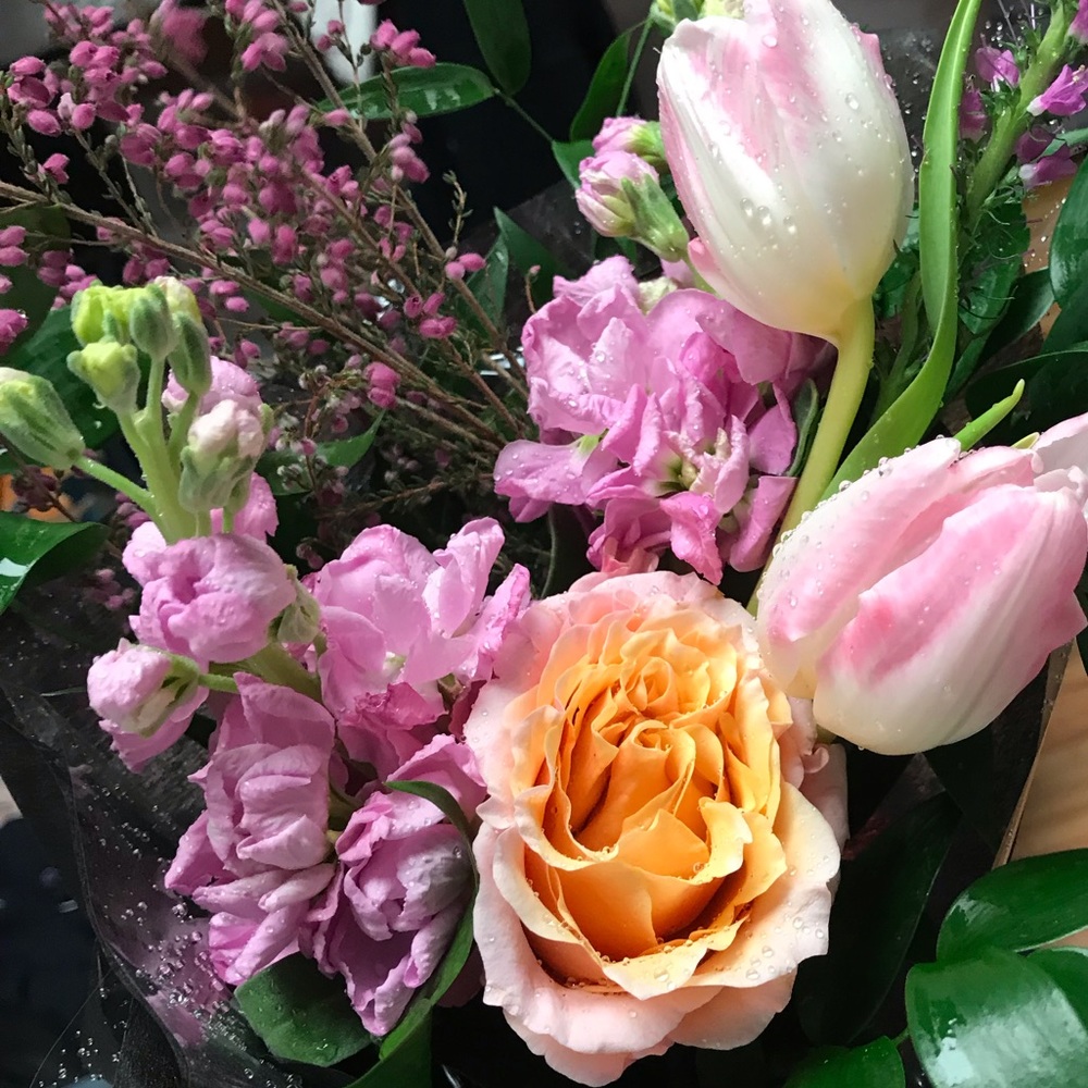 Meet your Posher, Dana